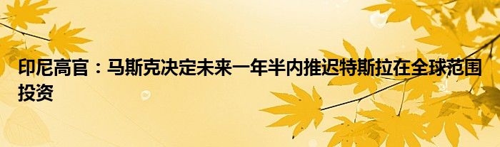 印尼高官：马斯克决定未来一年半内推迟特斯拉在全球范围投资