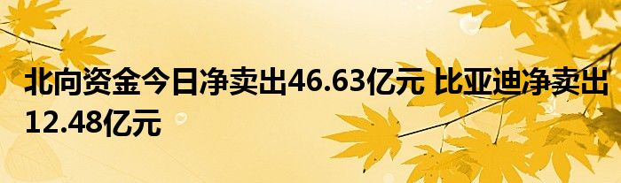 北向资金今日净卖出46.63亿元 比亚迪净卖出12.48亿元