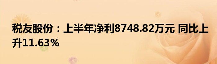 税友股份：上半年净利8748.82万元 同比上升11.63%