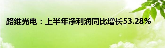 路维光电：上半年净利润同比增长53.28%