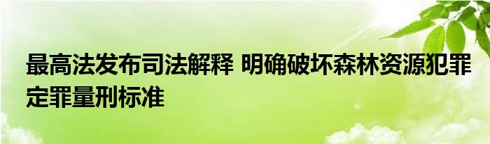 最高法发布司法解释 明确破坏森林资源犯罪定罪量刑标准