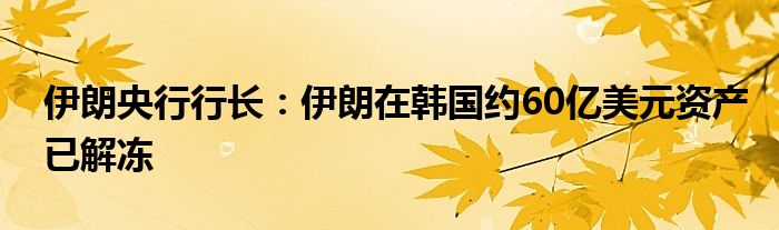 伊朗央行行长：伊朗在韩国约60亿美元资产已解冻