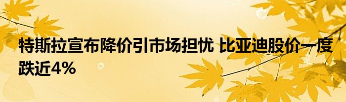 特斯拉宣布降价引市场担忧 比亚迪股价一度跌近4%