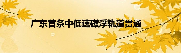 广东首条中低速磁浮轨道贯通