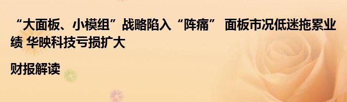 “大面板、小模组”战略陷入“阵痛” 面板市况低迷拖累业绩 华映科技亏损扩大|财报解读