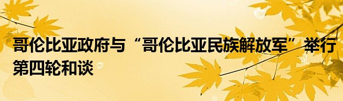 哥伦比亚政府与“哥伦比亚民族解放军”举行第四轮和谈