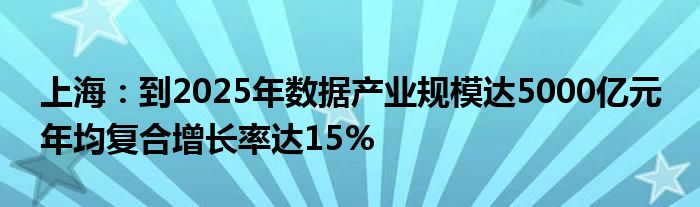 上海：到2025年数据产业规模达5000亿元 年均复合增长率达15%