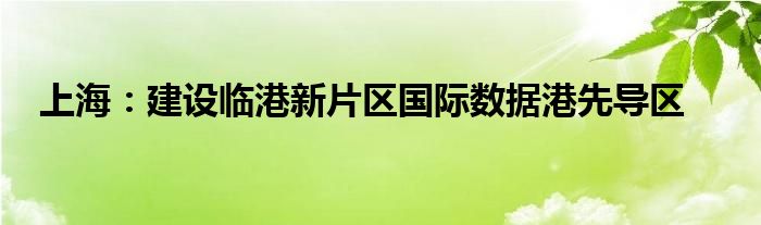 上海：建设临港新片区国际数据港先导区