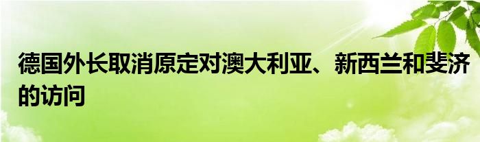 德国外长取消原定对澳大利亚、新西兰和斐济的访问