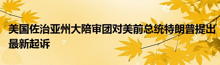 美国佐治亚州大陪审团对美前总统特朗普提出最新起诉