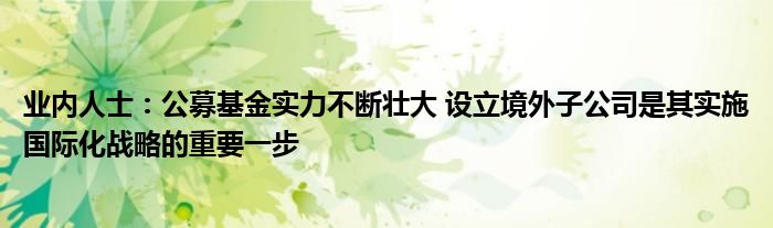 业内人士：公募基金实力不断壮大 设立境外子公司是其实施国际化战略的重要一步