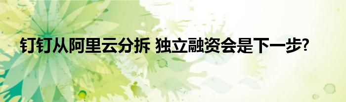 钉钉从阿里云分拆 独立融资会是下一步?