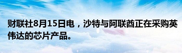 财联社8月15日电，沙特与阿联酋正在采购英伟达的芯片产品。