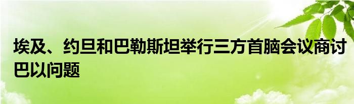 埃及、约旦和巴勒斯坦举行三方首脑会议商讨巴以问题