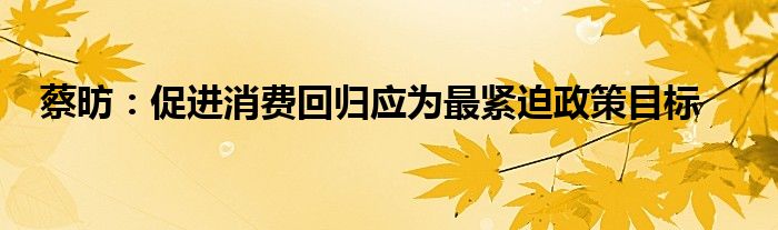 蔡昉：促进消费回归应为最紧迫政策目标