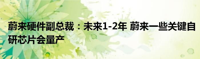 蔚来硬件副总裁：未来1-2年 蔚来一些关键自研芯片会量产