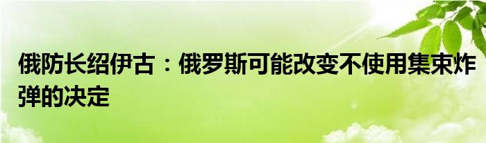 俄防长绍伊古：俄罗斯可能改变不使用集束炸弹的决定