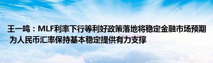 王一鸣：MLF利率下行等利好政策落地将稳定
市场预期 为人民币汇率保持基本稳定提供有力支撑