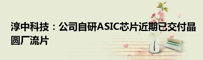 淳中科技：公司自研ASIC芯片近期已交付晶圆厂流片