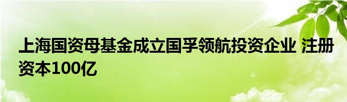 上海国资母基金成立国孚领航投资企业 注册资本100亿