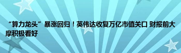 “算力龙头”暴涨回归！英伟达收复万亿市值关口 财报前大摩积极看好