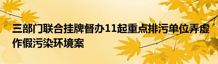 三部门联合挂牌督办11起重点排污单位弄虚作假污染环境案