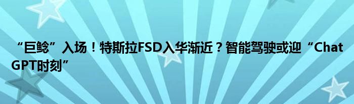 “巨鲶”入场！特斯拉FSD入华渐近？智能驾驶或迎“ChatGPT时刻”