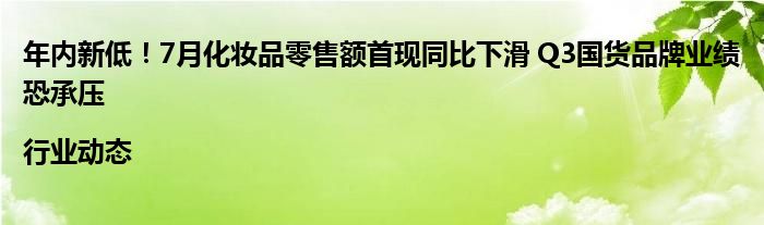 年内新低！7月化妆品零售额首现同比下滑 Q3国货品牌业绩恐承压|行业动态