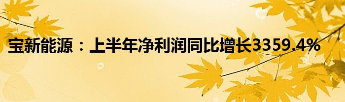 宝新能源：上半年净利润同比增长3359.4%