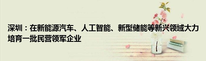 深圳：在新能源汽车、人工智能、新型储能等新兴领域大力培育一批民营领军企业