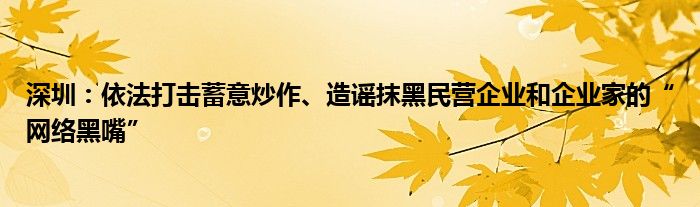 深圳：依法打击蓄意炒作、造谣抹黑民营企业和企业家的“网络黑嘴”