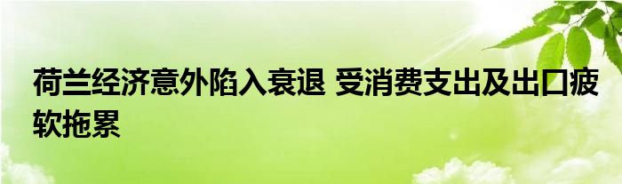 荷兰经济意外陷入衰退 受消费支出及出口疲软拖累