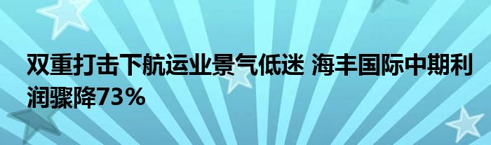 双重打击下航运业景气低迷 海丰国际中期利润骤降73%