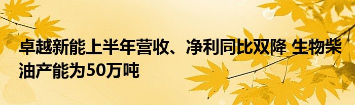 卓越新能上半年营收、净利同比双降 生物柴油产能为50万吨