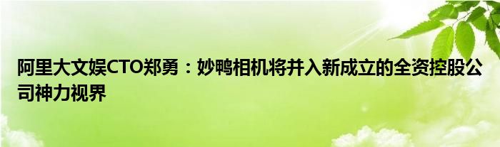 阿里大文娱CTO郑勇：妙鸭相机将并入新成立的全资控股公司神力视界