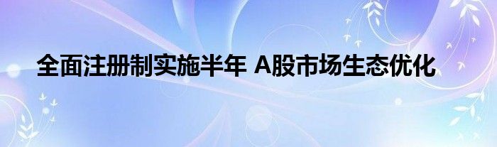 全面注册制实施半年 A股市场生态优化