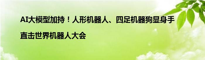 AI大模型加持！人形机器人、四足机器狗显身手|直击世界机器人大会