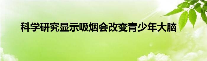 科学研究显示吸烟会改变青少年大脑