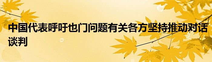 中国代表呼吁也门问题有关各方坚持推动对话谈判