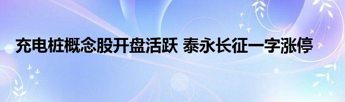 充电桩概念股开盘活跃 泰永长征一字涨停