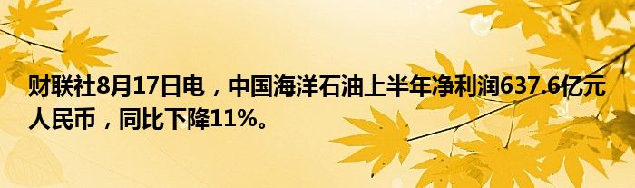 财联社8月17日电，中国海洋石油上半年净利润637.6亿元人民币，同比下降11%。