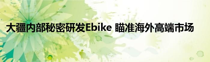 大疆内部秘密研发Ebike 瞄准海外高端市场