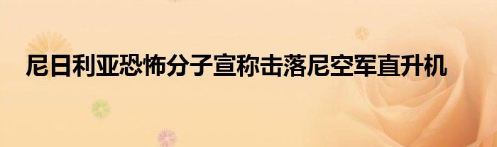 尼日利亚恐怖分子宣称击落尼空军直升机