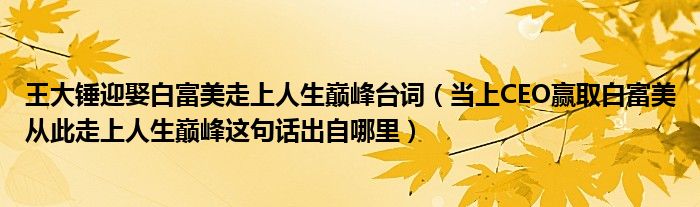 王大锤迎娶白富美走上人生巅峰台词（当上CEO赢取白富美从此走上人生巅峰这句话出自哪里）