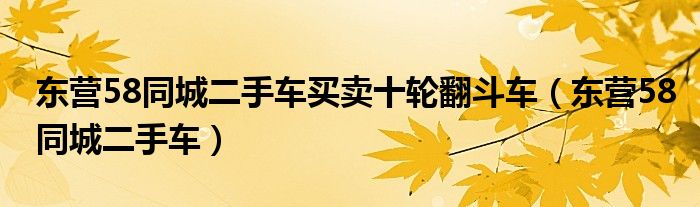 东营58同城二手车买卖十轮翻斗车（东营58同城二手车）