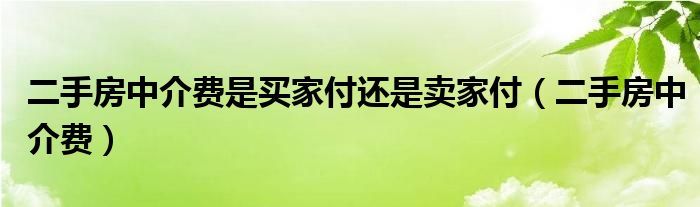 二手房中介费是买家付还是卖家付（二手房中介费）