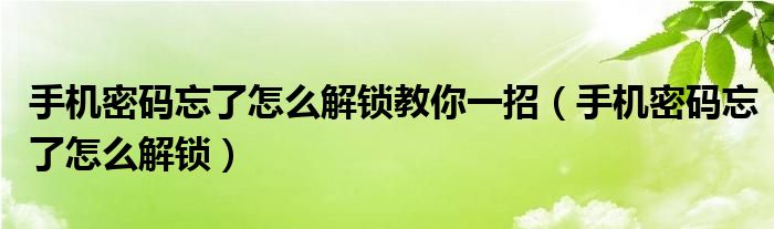 手机密码忘了怎么解锁教你一招（手机密码忘了怎么解锁）