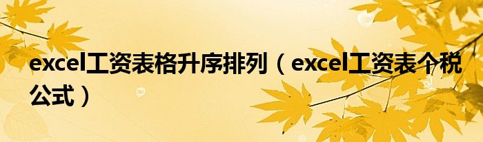 excel工资表格升序排列（excel工资表个税公式）