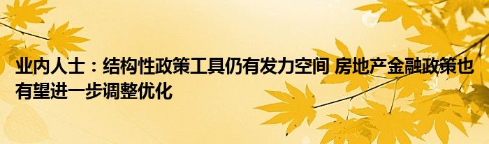 业内人士：结构性政策工具仍有发力空间 房地产
政策也有望进一步调整优化