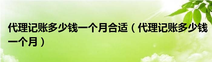 代理记账多少钱一个月合适（代理记账多少钱一个月）